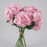 Blush Hydrangea Dream Bouquet