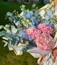 Blush Serenade - Image 3