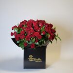 Scarlet Elegance Box