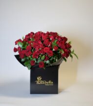 Scarlet Elegance Box